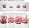Artificial Succulent Plants in Pots Fake Potted Plant Mini Plants for Bedroom Home Bathroom Office Room Decor